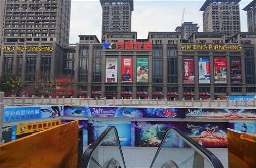 视频号如何打造人设号：成为社交媒体红人的秘诀