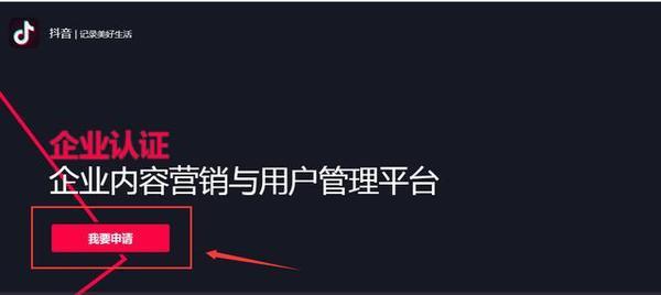 如何成功运营抖音：从零到百万粉丝的秘诀