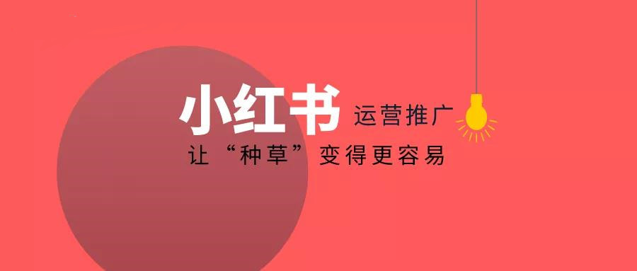 小红书怎么加人？快速掌握加好友技巧，拓展你的社交圈