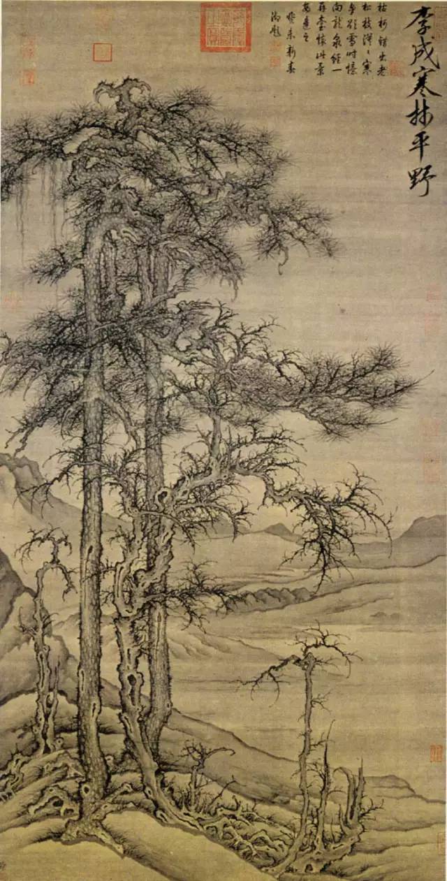 B站等级怎么升？快速提升你的B站等级指南