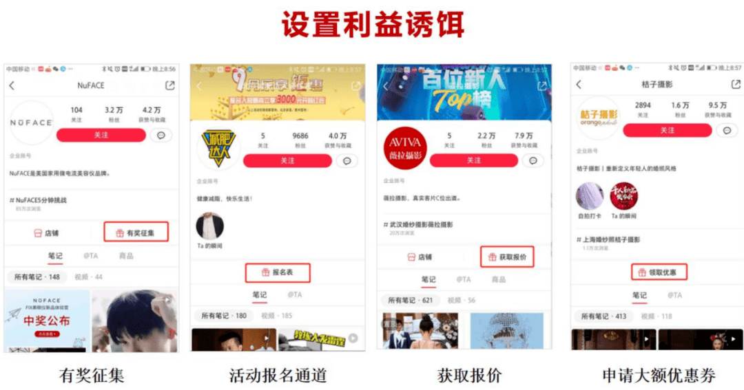 小红书如何申请专业好？快速掌握最全攻略！