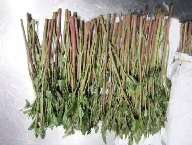 小红书如何隐藏喜欢列表？教你保护个人隐私的神秘技巧！