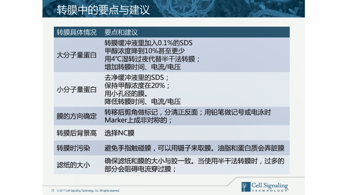 小红书如何轻松切换大小号？一文解决困扰！