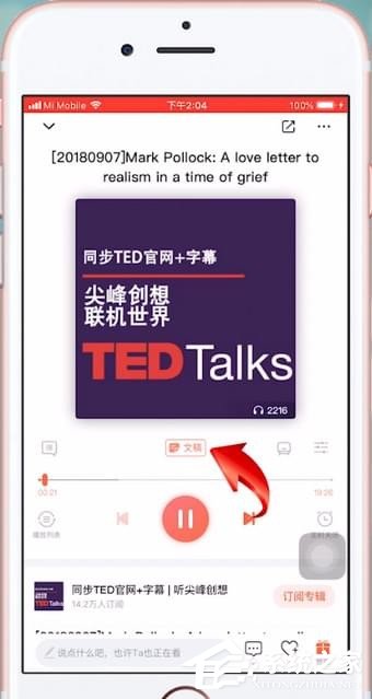哔哩哔哩如何选字幕，提升观看体验的终极攻略
