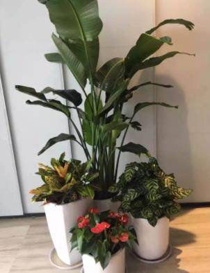 哔哩哔哩怎么录视频：新手到高手的详细指南